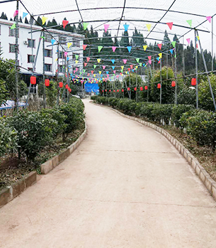 南充康养院